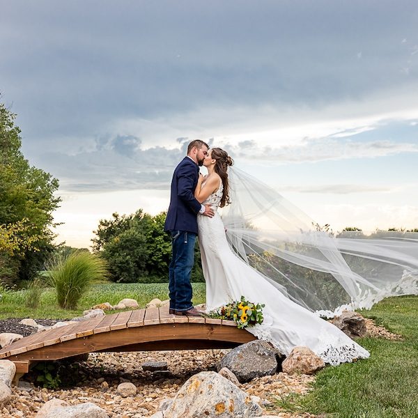Angi's Art Kansas City Wedding Photography WedKC Bridge Kiss Veil