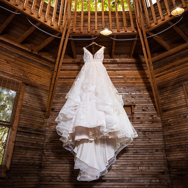 Angi's Art Kansas City Wedding Photography WedKC Dress