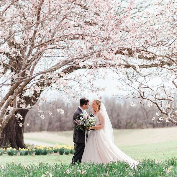 Lauren Benson Photography Kansas City Wedding Photography WedKC Couple Flowering Tree