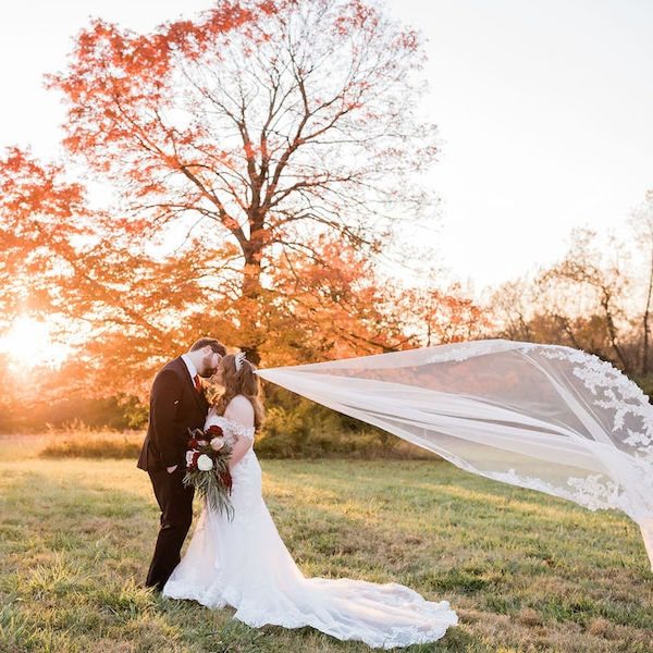 Lauren Benson Photography Kansas City Wedding Photography WedKC Veil Tree