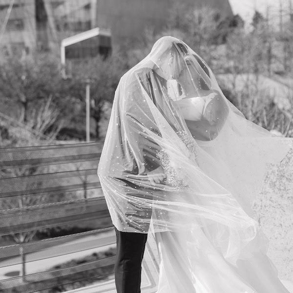 Nichole Storey Photography Kansas City Wedding Photographer WedKC Couple Veil