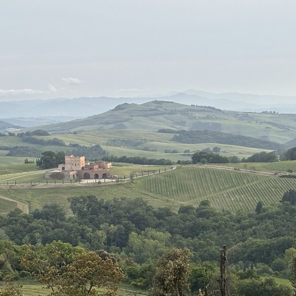 Videre Travel Kansas City Honeymoon Specialist Destination Wedding WedKC Vineyard